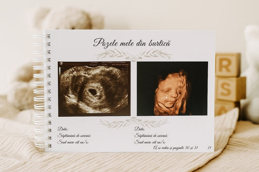 Din dragoste s-a născut... Jurnalul de amintiri al bebelușului 3-în-1